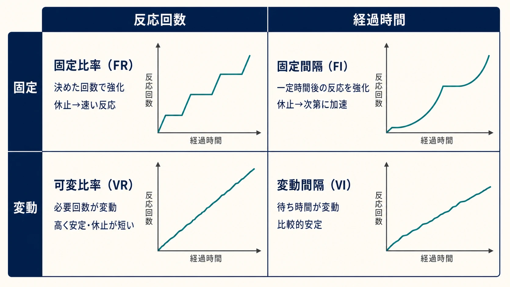反応回数か経過時間か、固定か変動かで四つの基本強化スケジュールを比較した図